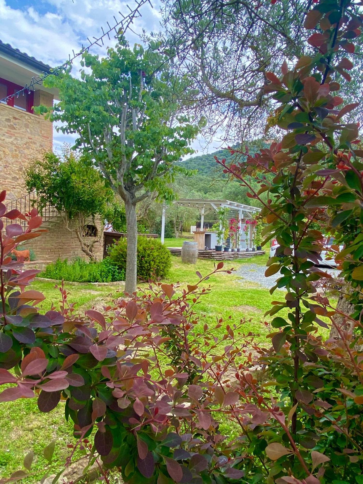 Nonna Nara Bed & Breakfast 格罗塞托 外观 照片